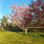 Shadowvale E34x773 Bed & Breakfast Tipperary