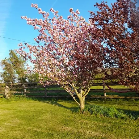 Shadowvale E34x773 Bed & Breakfast Tipperary