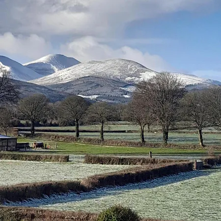 Shadowvale E34x773 Bed & Breakfast