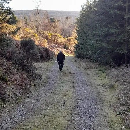 Shadowvale E34x773 *