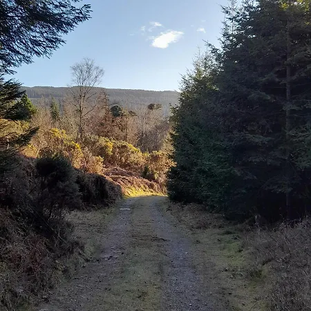 Shadowvale E34x773 Tipperary