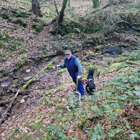 Shadowvale E34x773 Bed & Breakfast