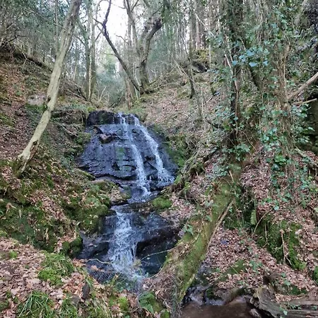 Shadowvale E34x773 Bed & Breakfast Tipperary
