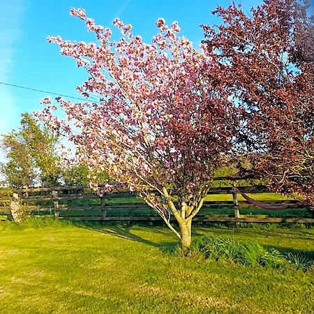 Shadowvale E34x773 * Tipperary