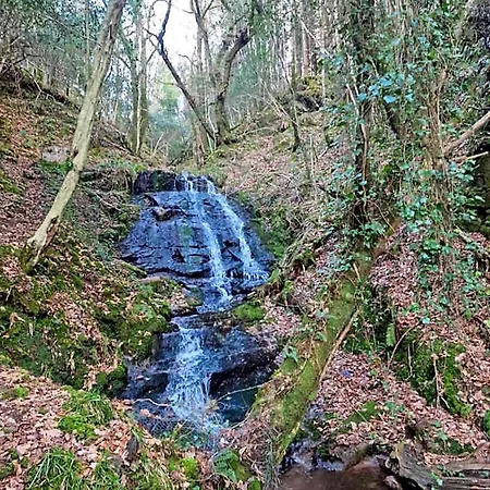 Shadowvale E34x773 * Tipperary