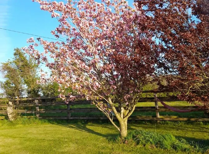 Shadowvale E34x773 Panzió Tipperary