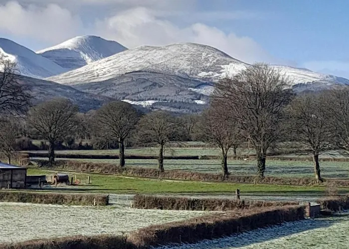 Shadowvale E34x773 Couette-café