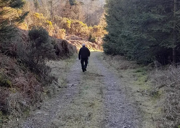 Shadowvale E34x773 *