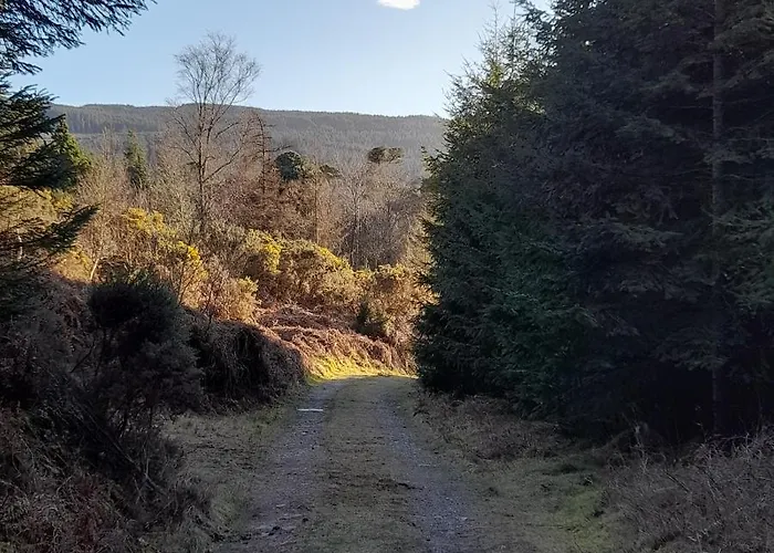 Shadowvale E34x773 Tipperary