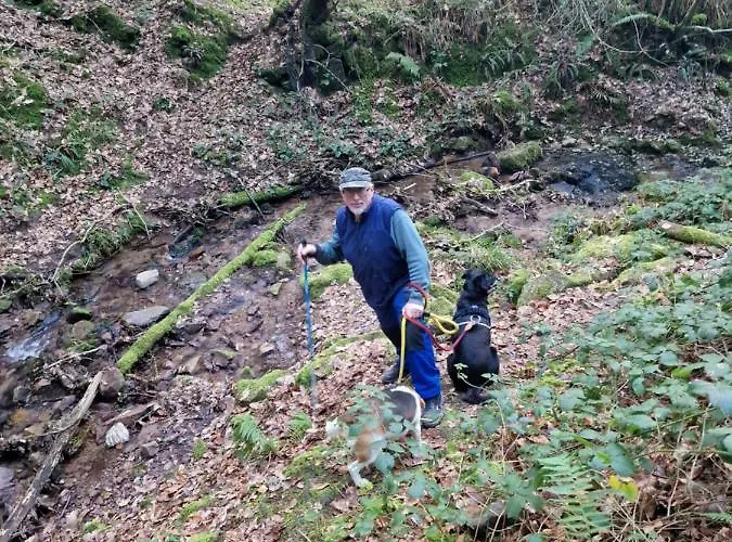 Shadowvale E34x773 Couette-café