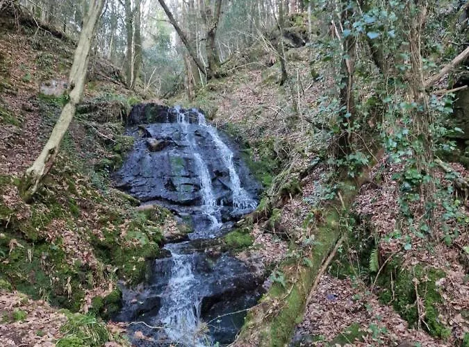 Shadowvale E34x773 Panzió Tipperary
